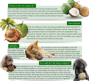 Coconut Ball (Big Little Paws Singapore)