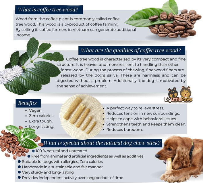 Coffee Wood Chew