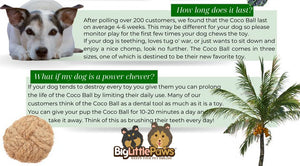 Coconut Ball (Big Little Paws Singapore)