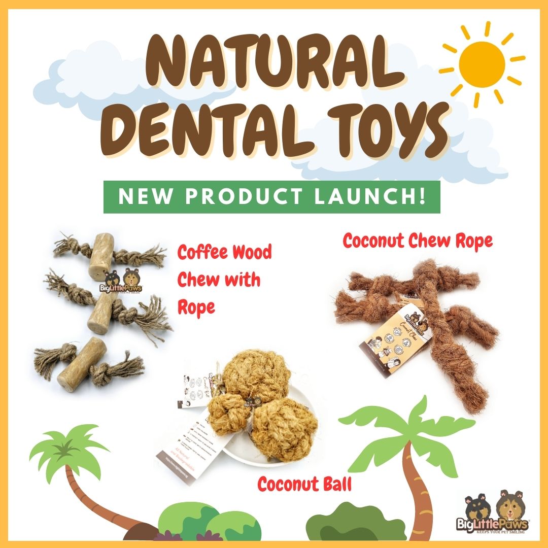 Natural Dental Toy (Big Little Paws Singapore)