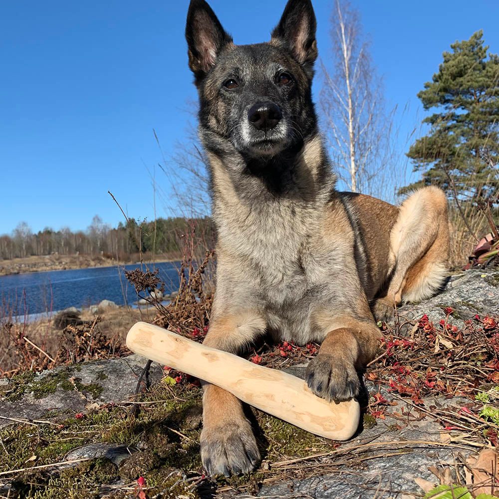 Coffee Wood Chew