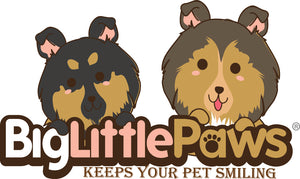 Big Little Paws Singapore- Healthy Dog Treats | Natural Dog Chews