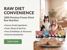 Load image into Gallery viewer, Pet Holistic RAW Coated Chicken Kibbles 4.5lb (1.8kg)
