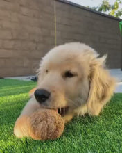 Load and play video in Gallery viewer, Coconut Ball
