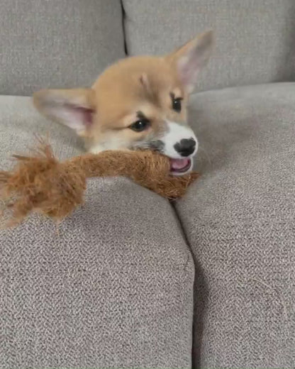 Coconut Chew Rope (Big Little Paws Singapore)