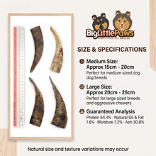 Load image into Gallery viewer, Goat Horn With Marrow
