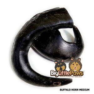 Buffalo Horn Medium Dog Chew