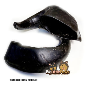 Buffalo Horn Medium Dog Chew