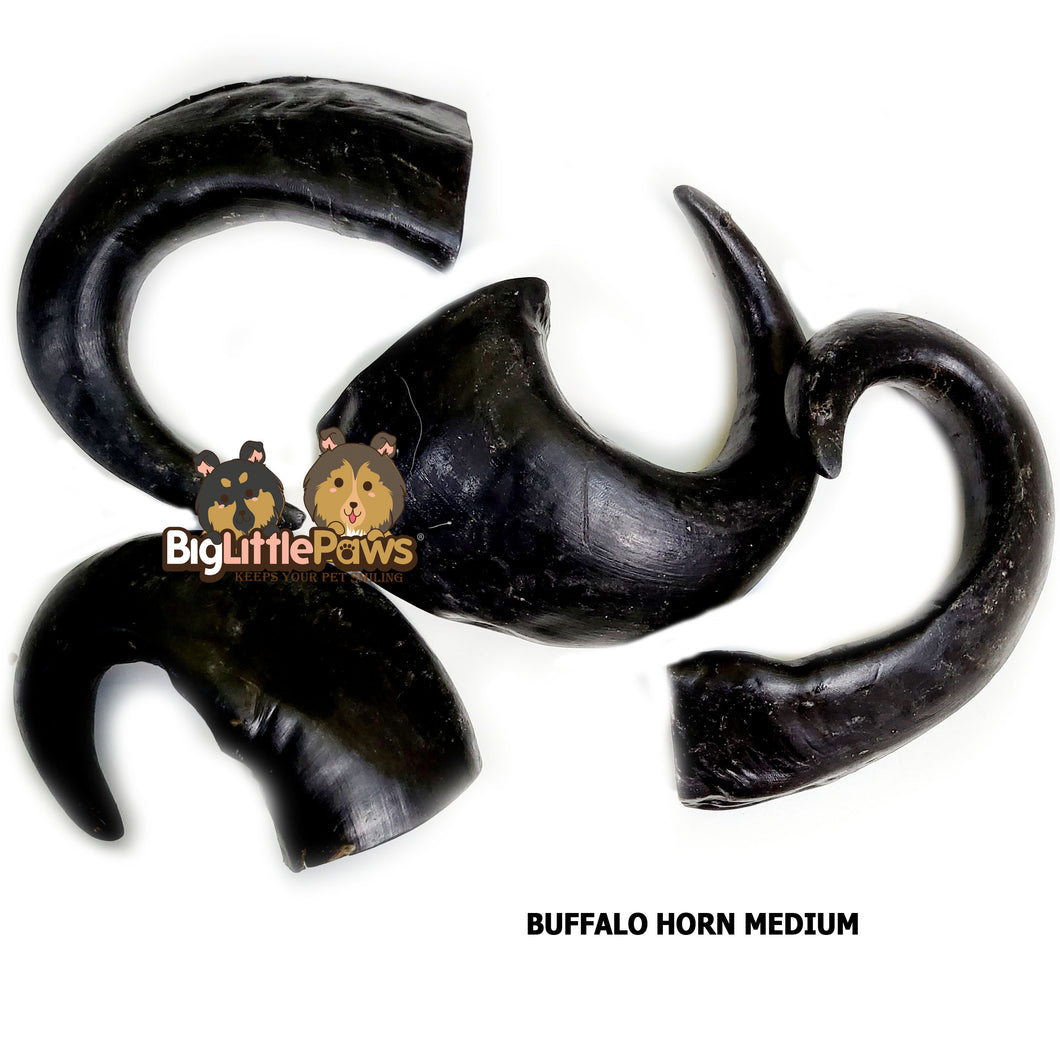 Buffalo Horn Medium Dog Chew