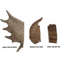 Load image into Gallery viewer, Fallow Antler Dog Chew
