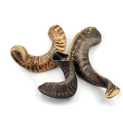 Lamb Horn Dog Chew