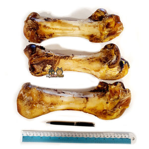 Large Ostrich Bone Dog Chew/ Dog Treats