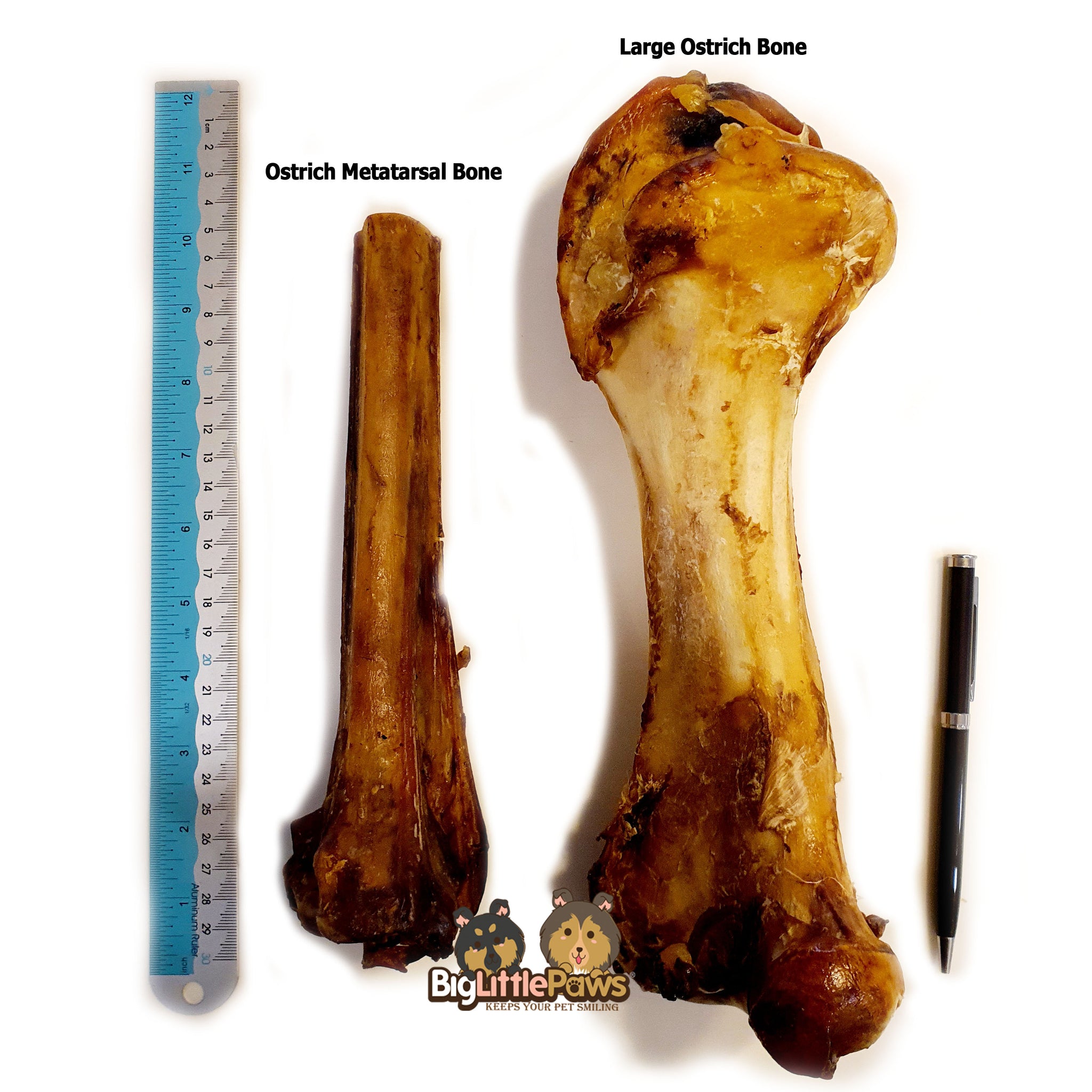 Large Ostrich Bone Dog Treats – Big Little Paws Singapore