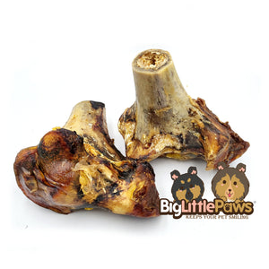 Ostrich Knuckle Bone (Big Little Paws Singapore Dog Treats)