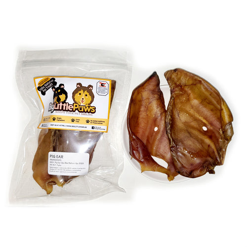 Pig ear (Big Little Paws Singapore Dog Treats)