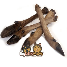 Load image into Gallery viewer, Jumbo Roe Deer Leg with Hair Dog Treat
