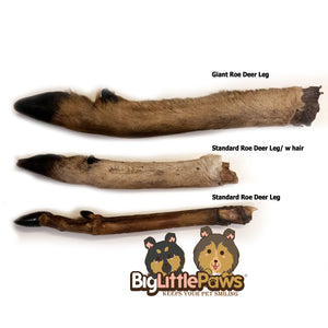 Jumbo Roe Deer Leg with Hair Dog Treat