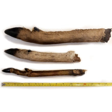Load image into Gallery viewer, Jumbo Roe Deer Leg with Hair Dog Treat
