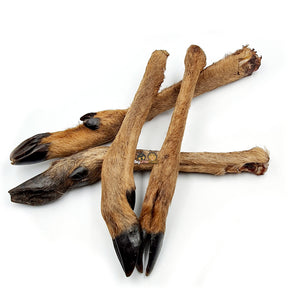 Natural Roe Deer Leg with Hair Dog Treats