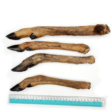 Load image into Gallery viewer, Natural Roe Deer Leg with Hair Dog Treats
