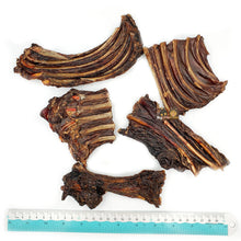 Load image into Gallery viewer, Kangaroo Ribs Dog Treats
