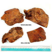 Load image into Gallery viewer, Natural Root Chew- 100% Untreated Wood (Dog Natural Chew Toy)
