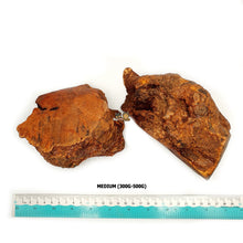 Load image into Gallery viewer, Natural Root Chew- 100% Untreated Wood (Dog Natural Chew Toy)
