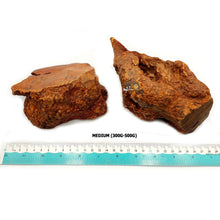Load image into Gallery viewer, Natural Root Chew- 100% Untreated Wood (Dog Natural Chew Toy)
