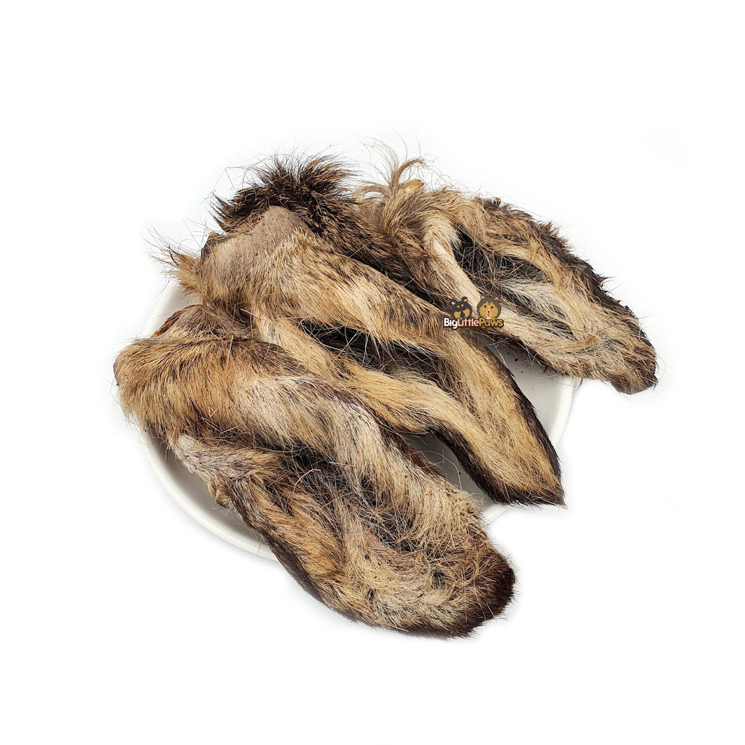 Venison Ear Dog Treats
