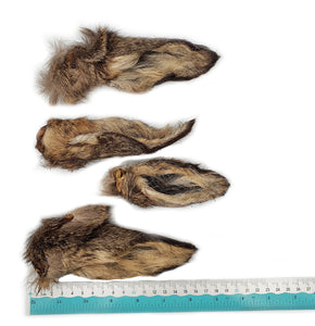 Venison Ears with Fur